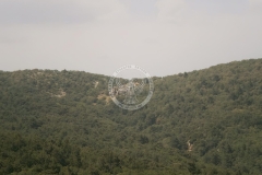 Pefka12-enlarged-scaled